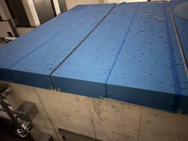 IMG_6862